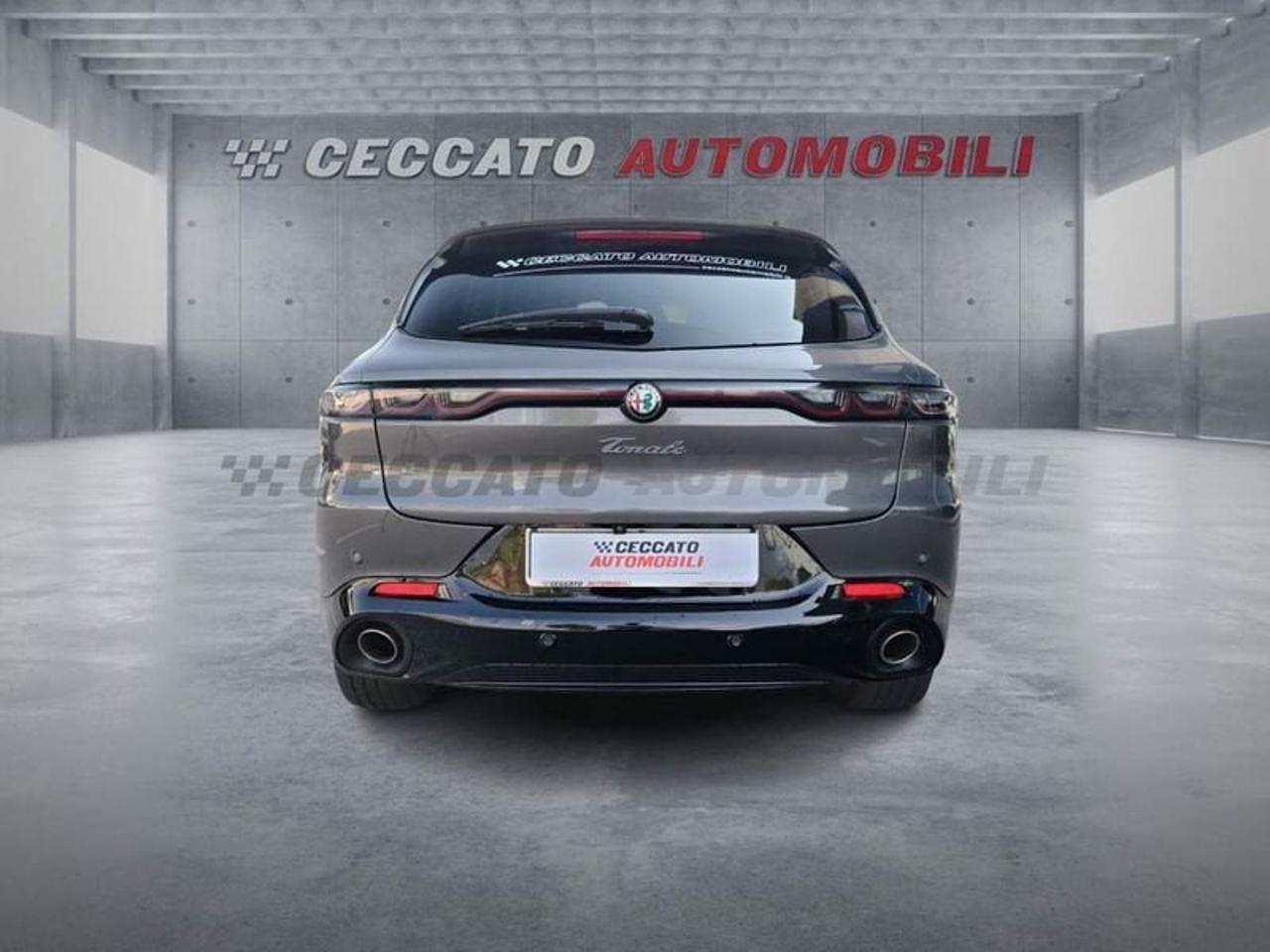 Alfa Romeo Alfa Romeo Tonale usata 23