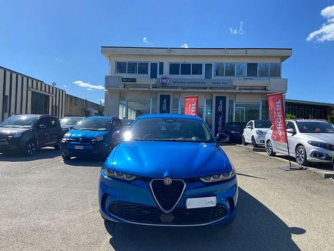 Alfa Romeo Alfa Romeo Tonale usata 11