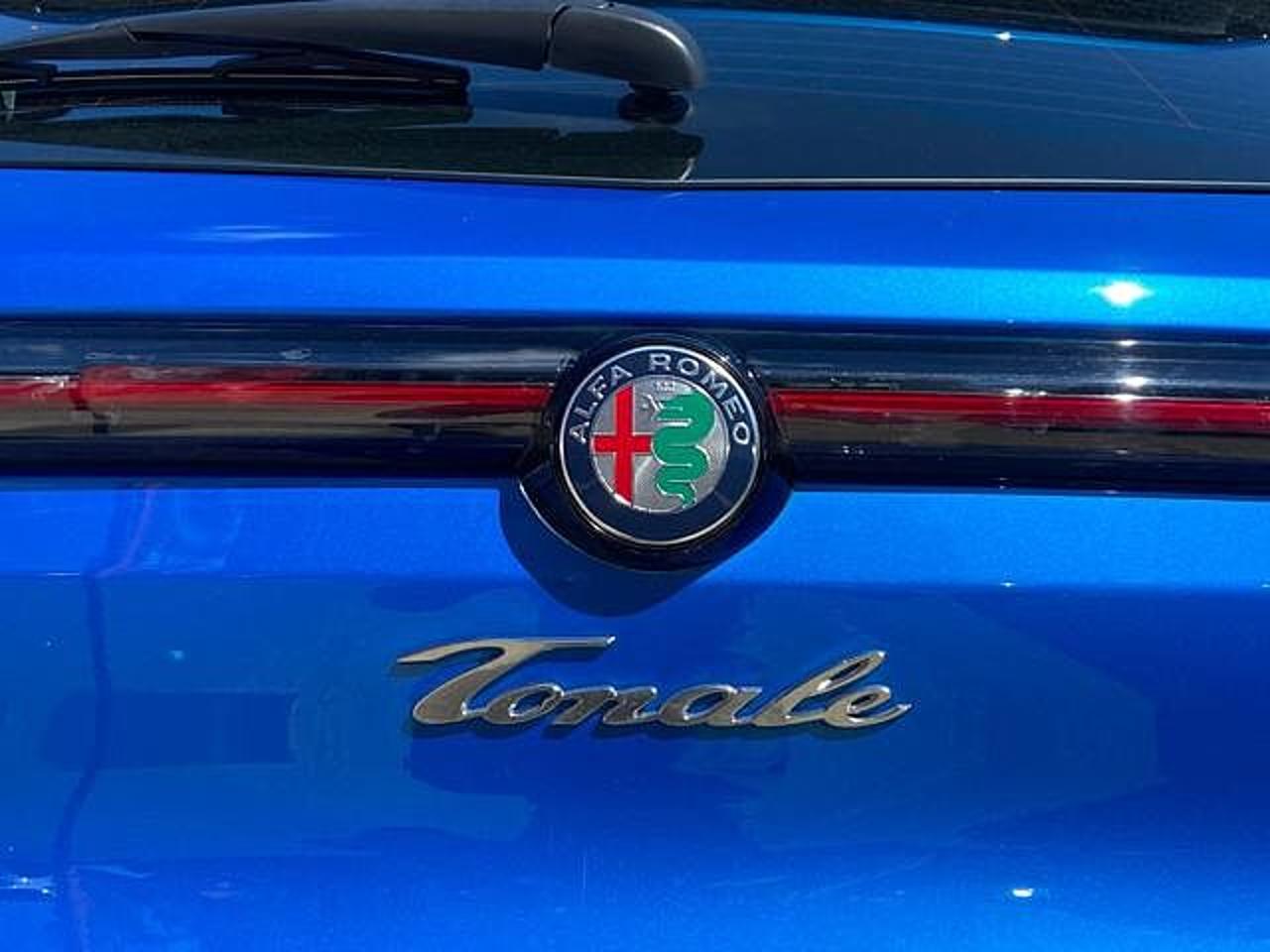 Alfa Romeo Alfa Romeo Tonale usata 21