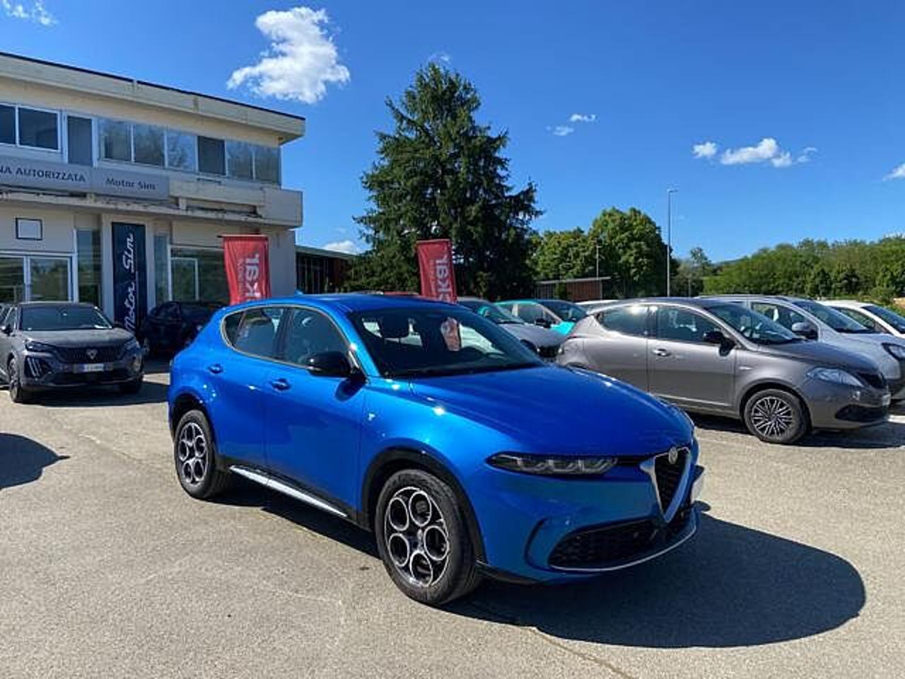 Alfa Romeo Alfa Romeo Tonale usata 22