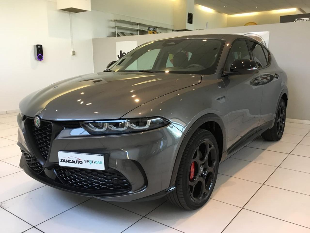Alfa Romeo Alfa Romeo Tonale usata 9