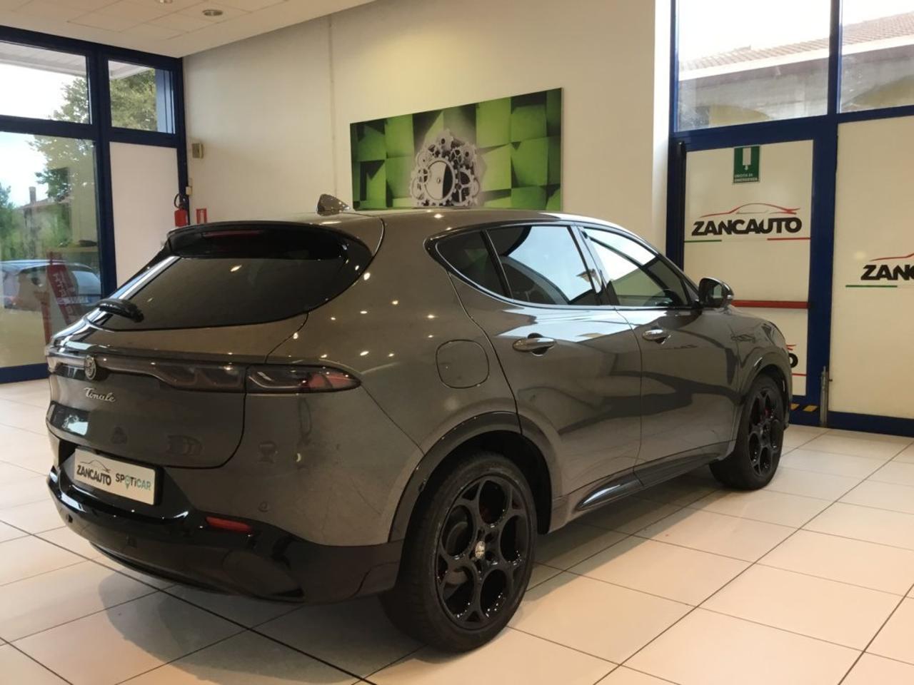 Alfa Romeo Alfa Romeo Tonale usata 14