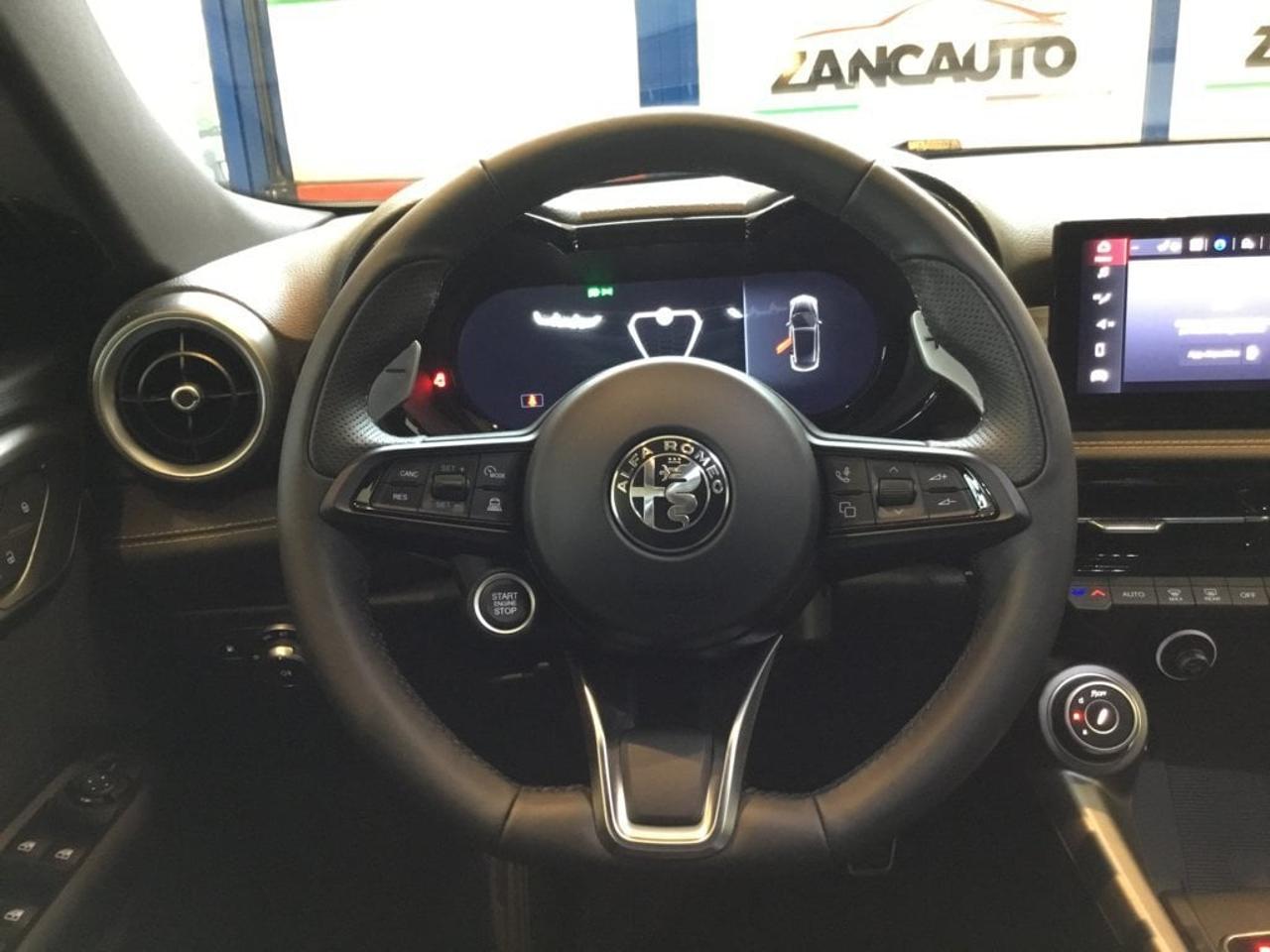 Alfa Romeo Alfa Romeo Tonale usata 15