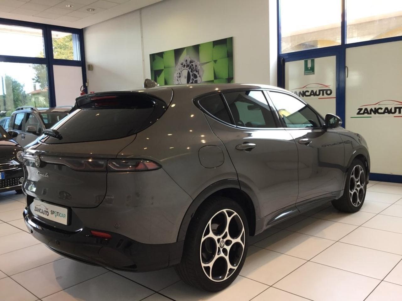 Alfa Romeo Alfa Romeo Tonale usata 12
