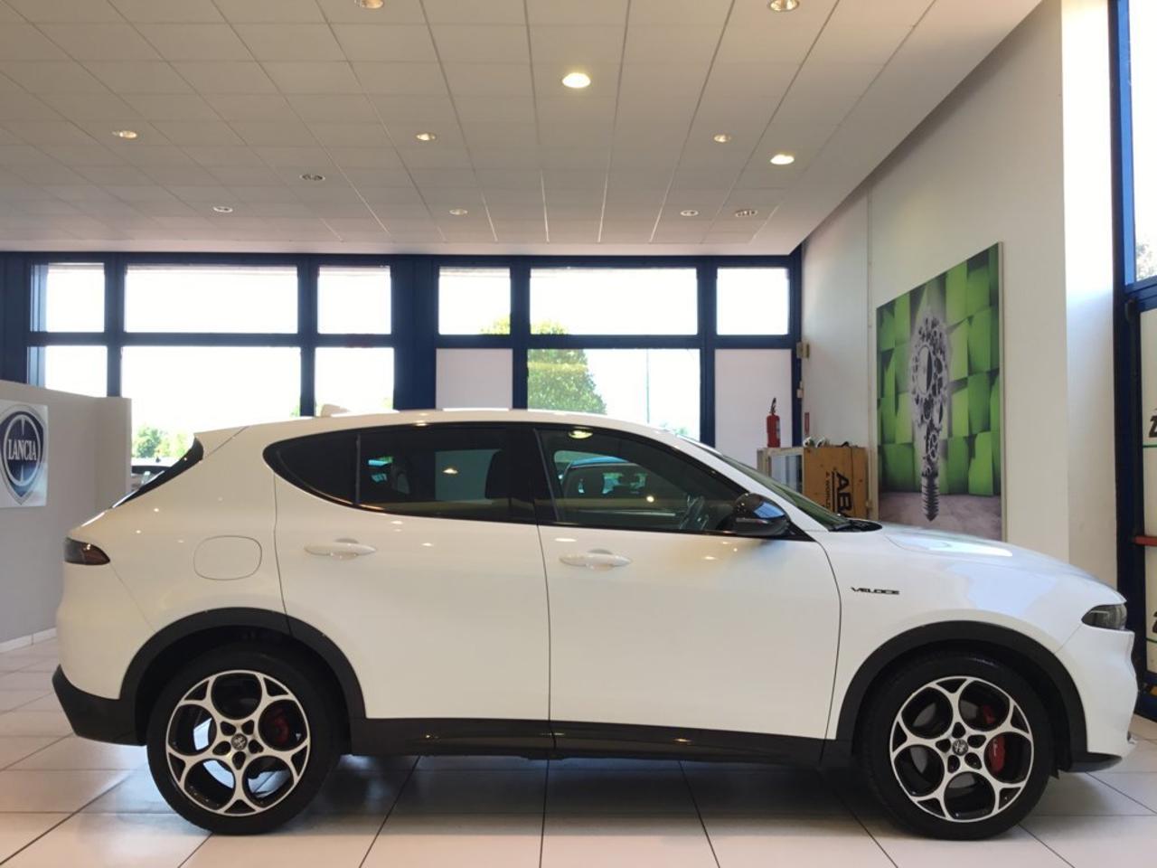 Alfa Romeo Alfa Romeo Tonale usata 8
