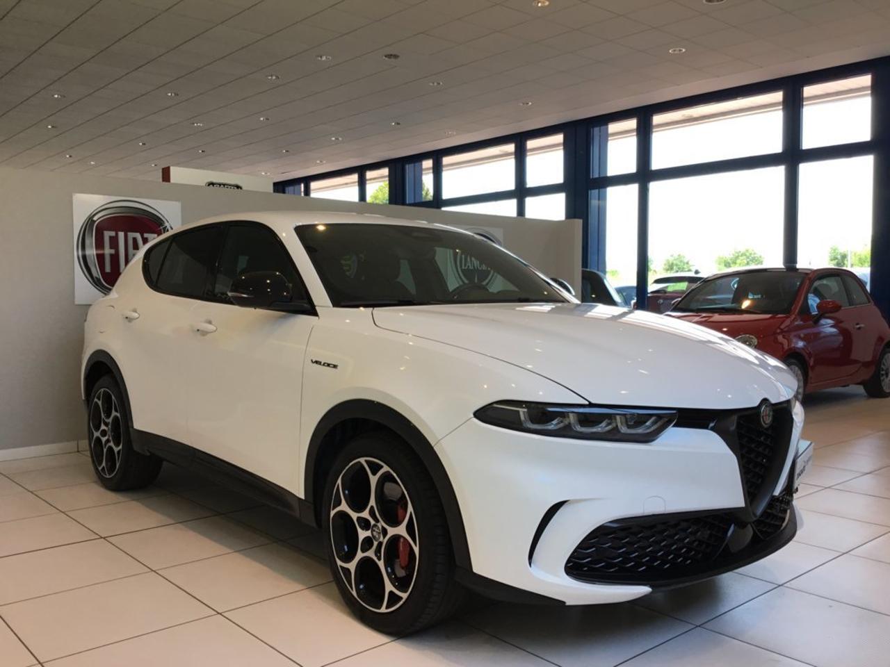 Alfa Romeo Alfa Romeo Tonale usata 11