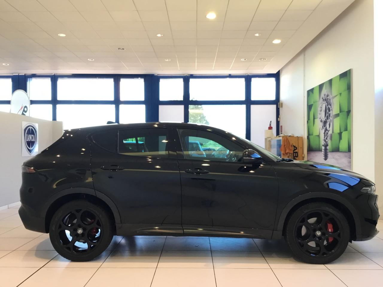 Alfa Romeo Alfa Romeo Tonale usata 8