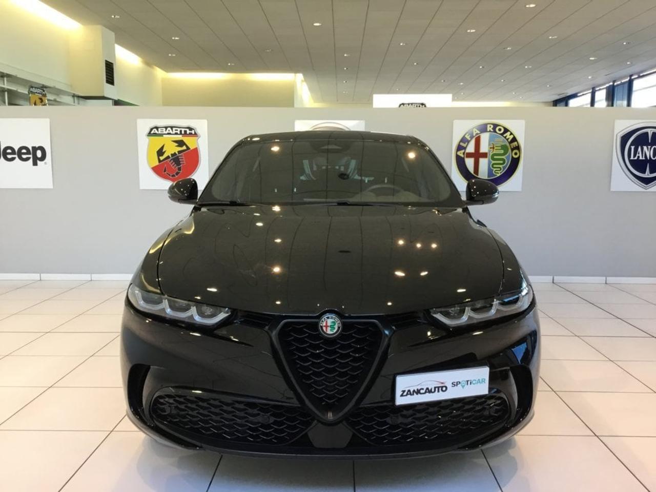 Alfa Romeo Alfa Romeo Tonale usata 10