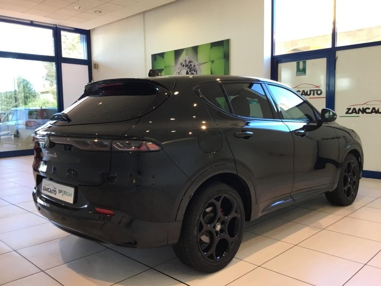 Alfa Romeo Alfa Romeo Tonale usata 12