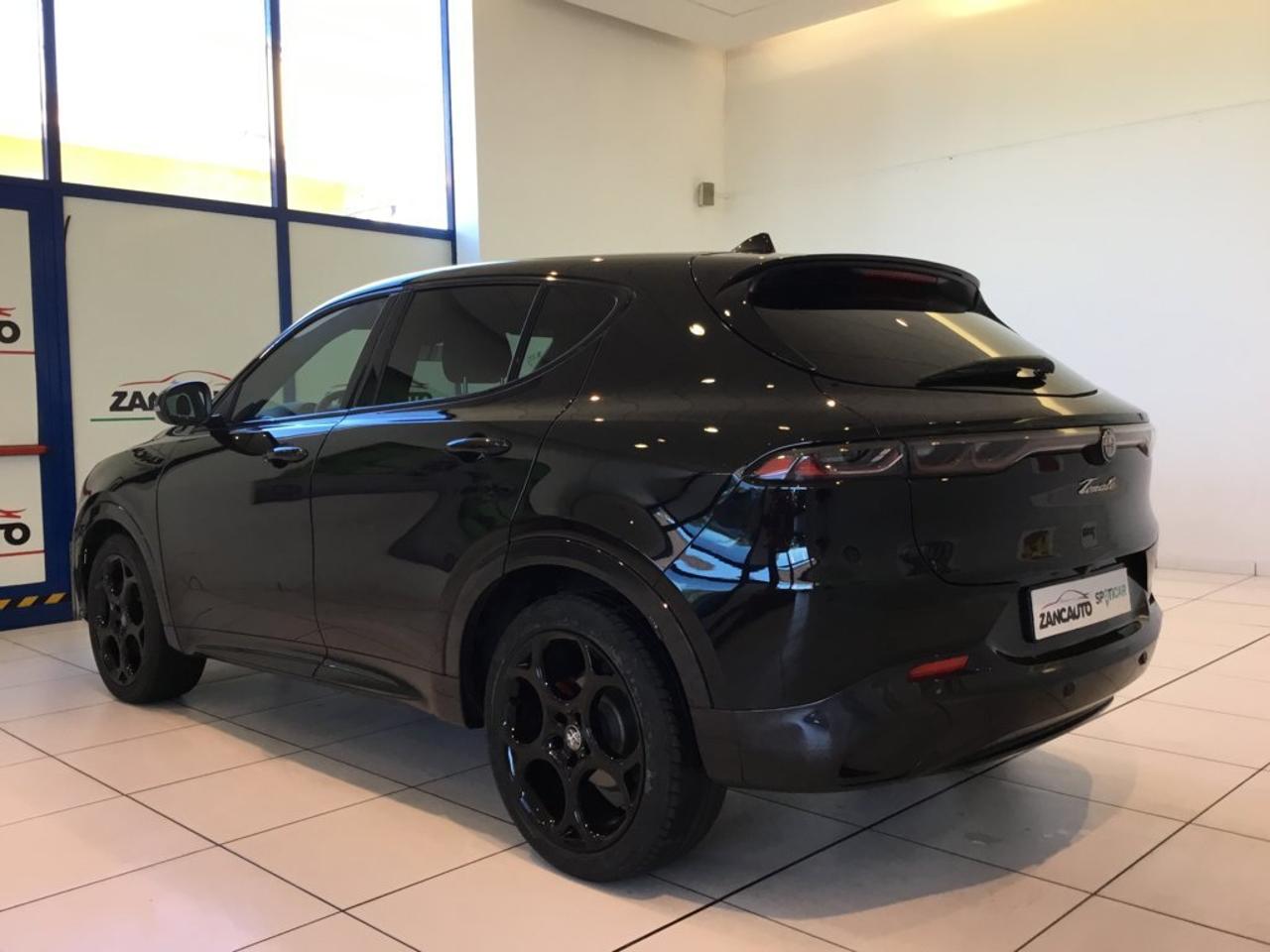 Alfa Romeo Alfa Romeo Tonale usata 14