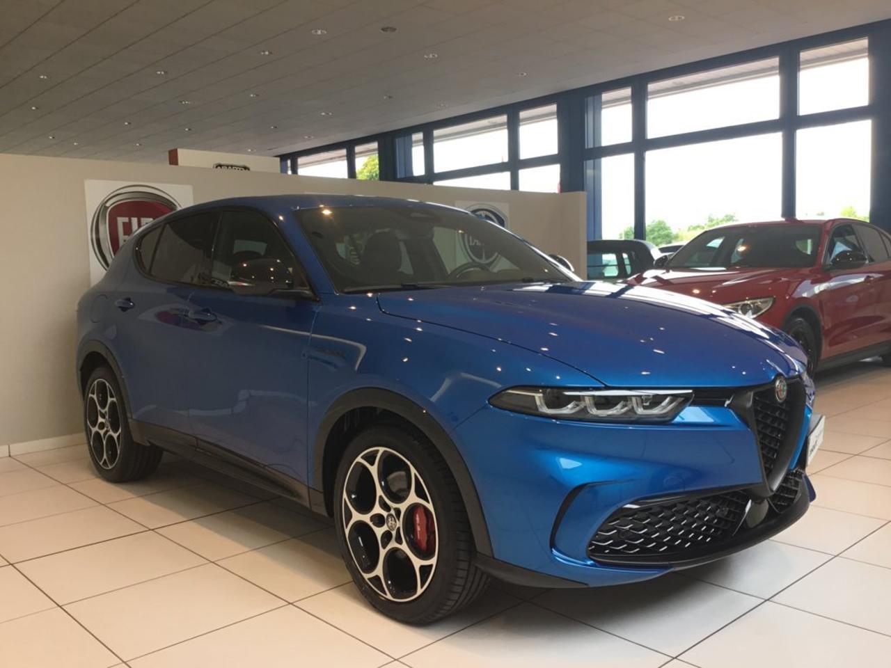 Alfa Romeo Alfa Romeo Tonale usata 9