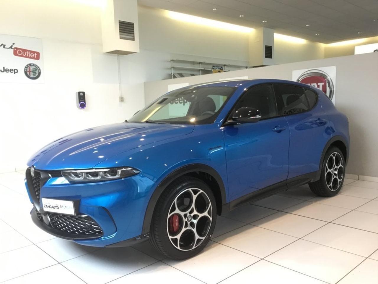 Alfa Romeo Alfa Romeo Tonale usata 11
