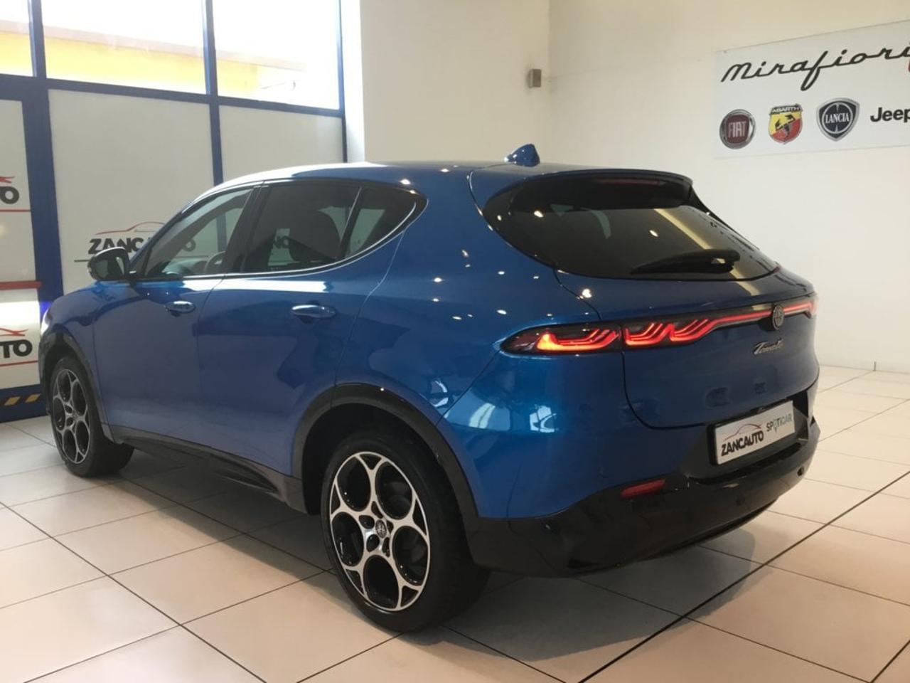 Alfa Romeo Alfa Romeo Tonale usata 12
