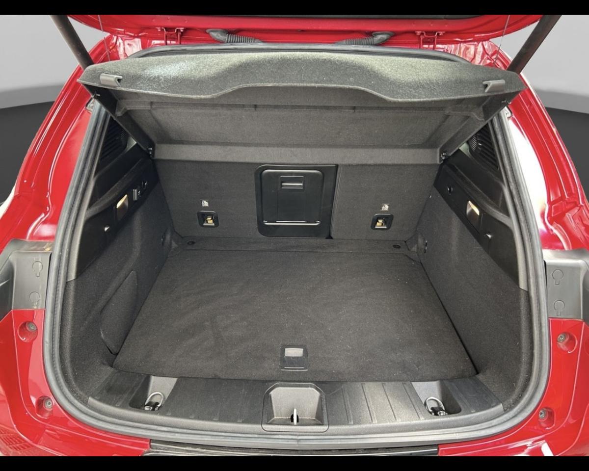 Alfa Romeo Alfa Romeo Tonale usata 15