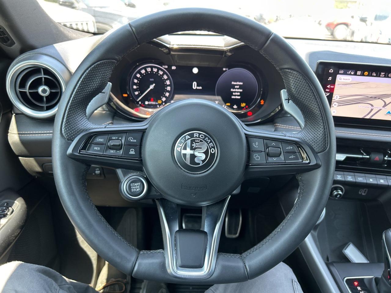Alfa Romeo Alfa Romeo Tonale usata 10