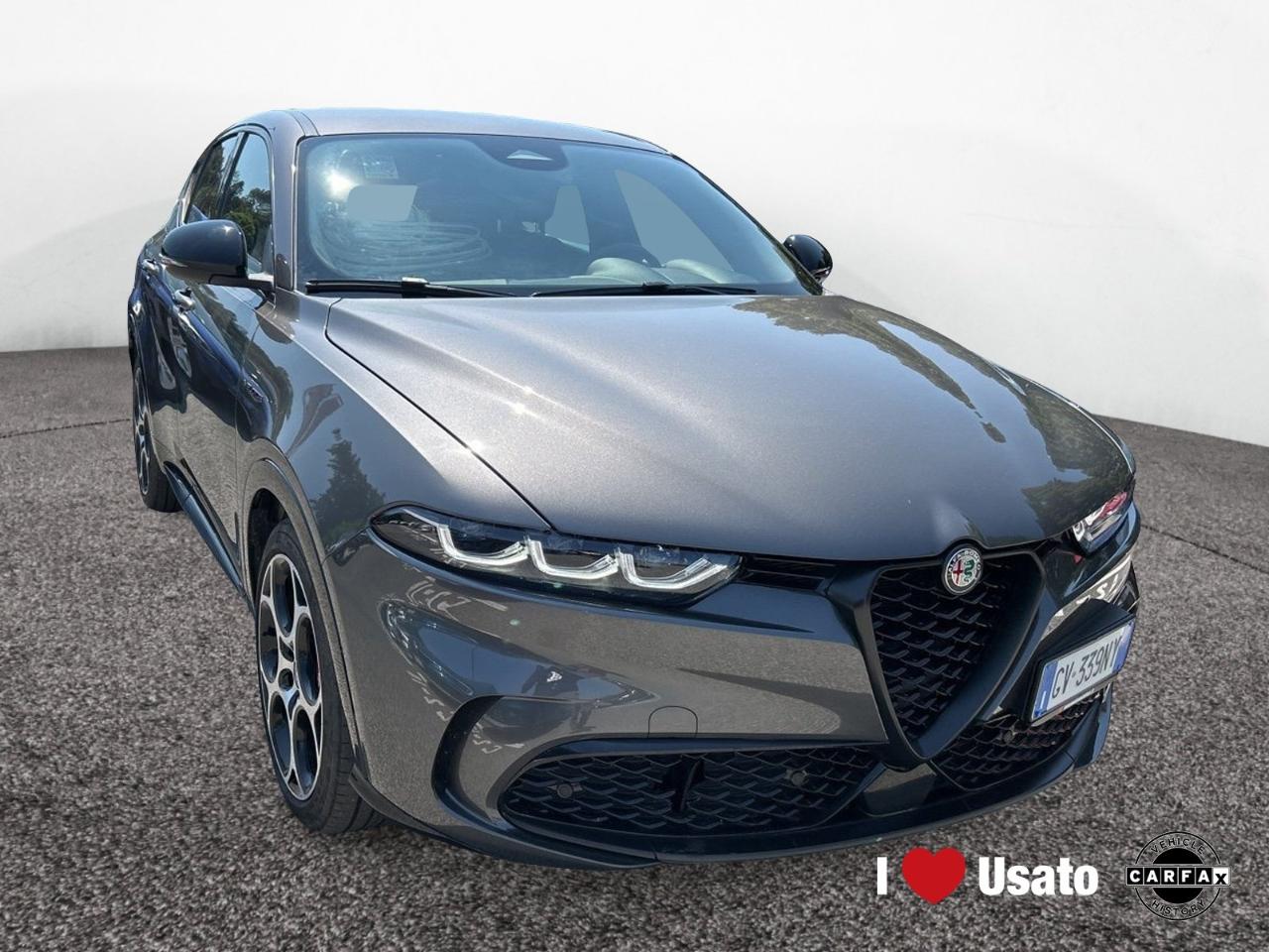 Alfa Romeo Alfa Romeo Tonale usata 11