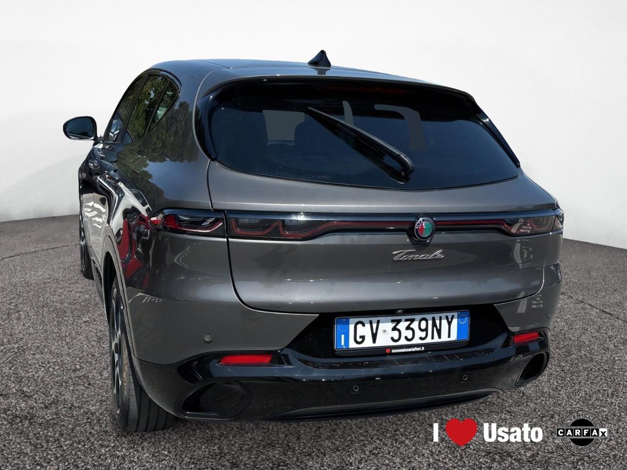Alfa Romeo Alfa Romeo Tonale usata 16