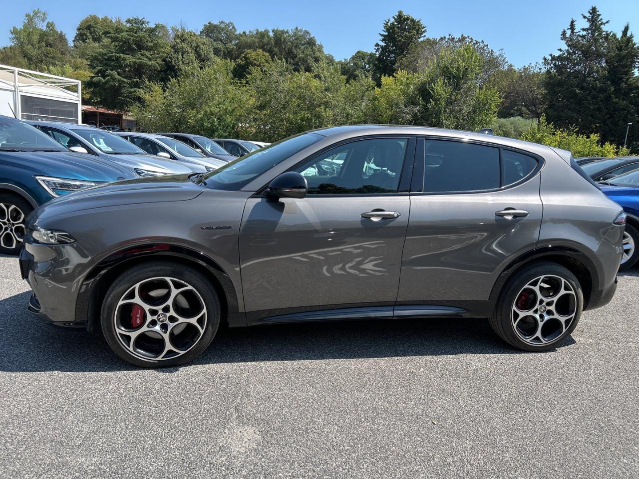 Alfa Romeo Alfa Romeo Tonale usata 19