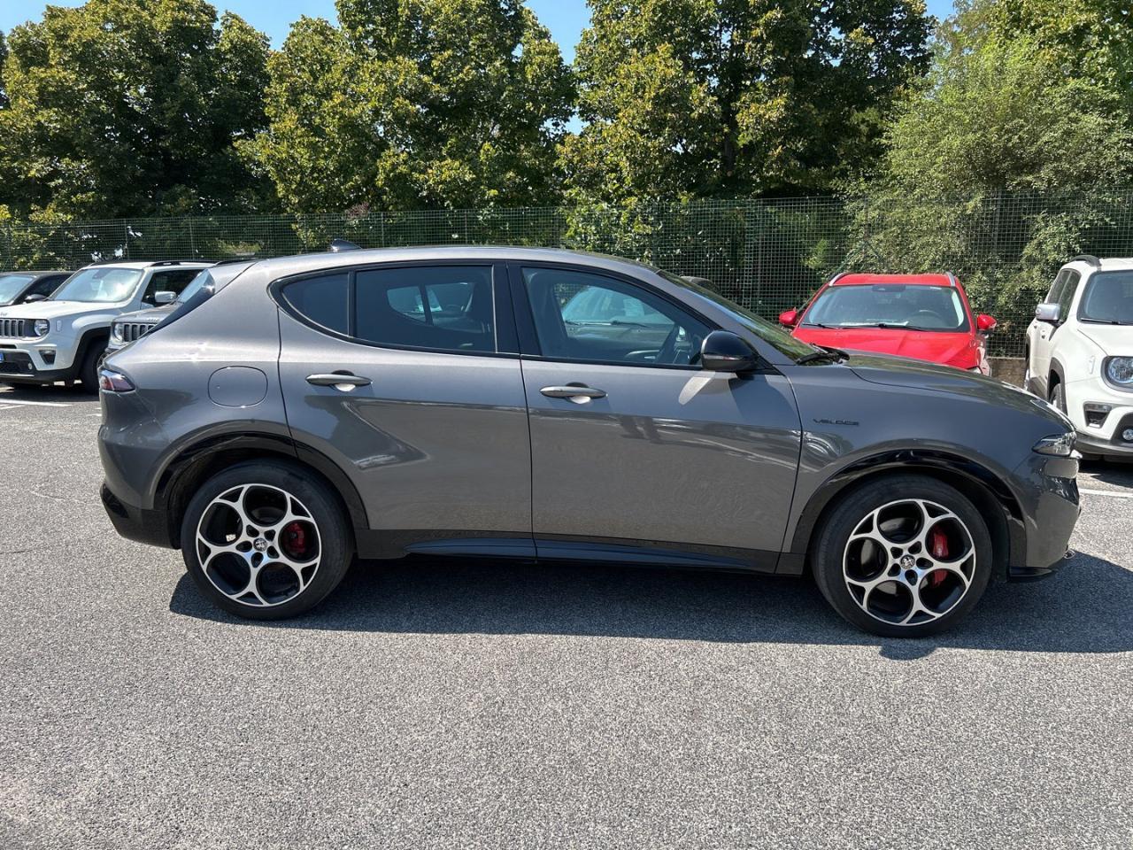 Alfa Romeo Alfa Romeo Tonale usata 20