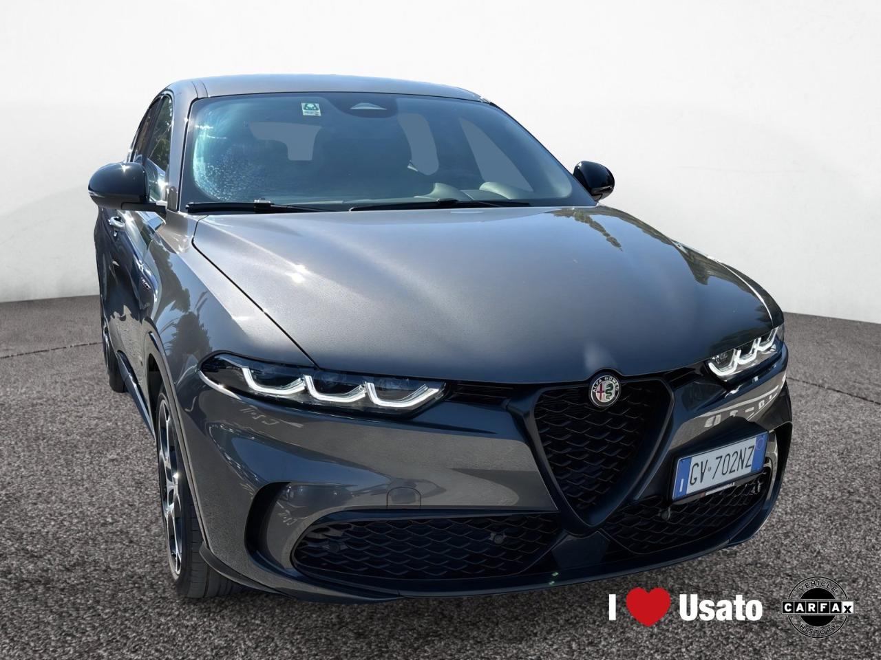 Alfa Romeo Alfa Romeo Tonale usata 11