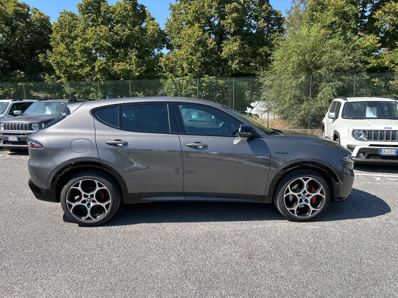 Alfa Romeo Alfa Romeo Tonale usata 20