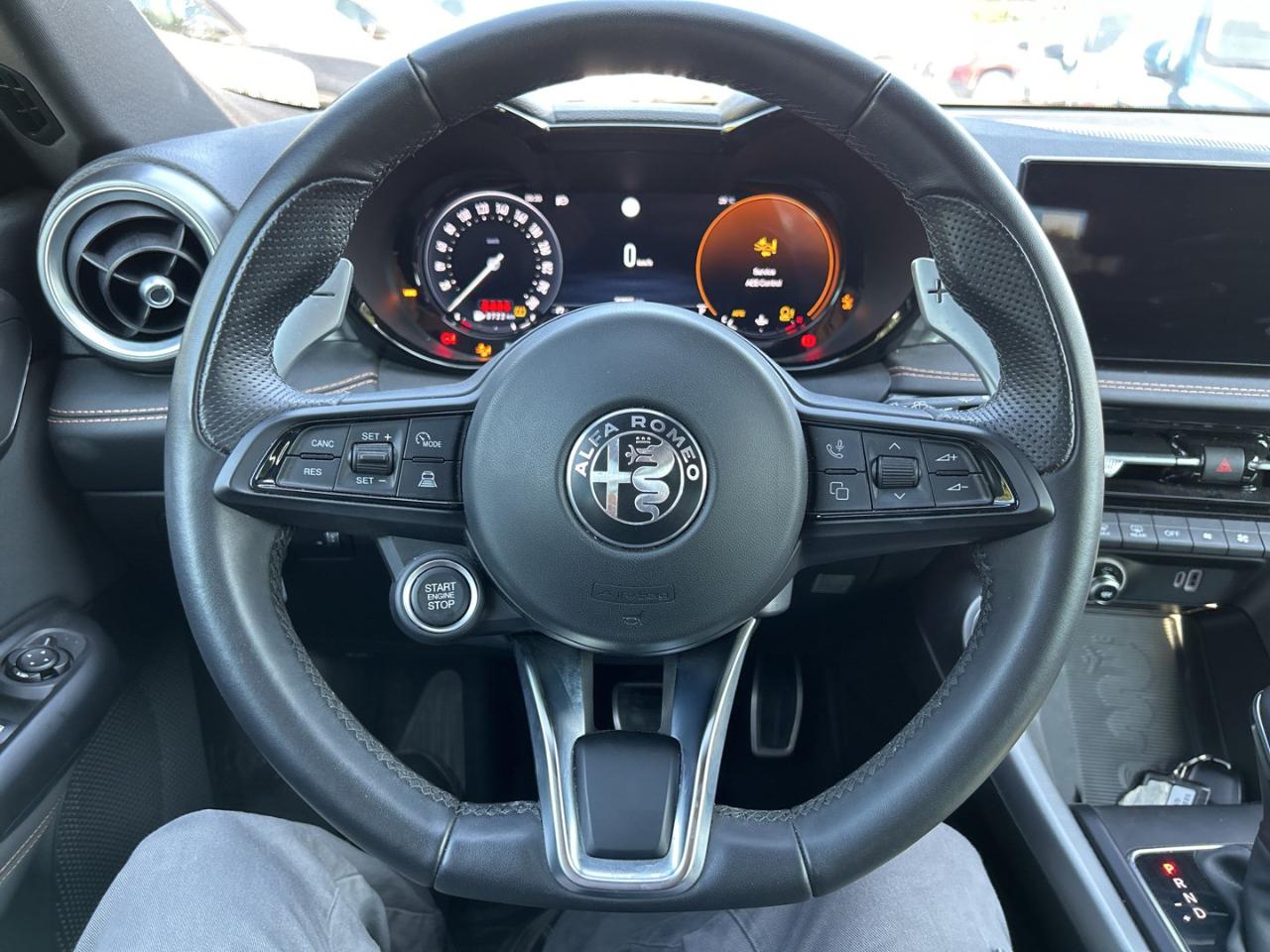 Alfa Romeo Alfa Romeo Tonale usata 7