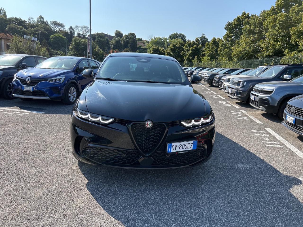 Alfa Romeo Alfa Romeo Tonale usata 18