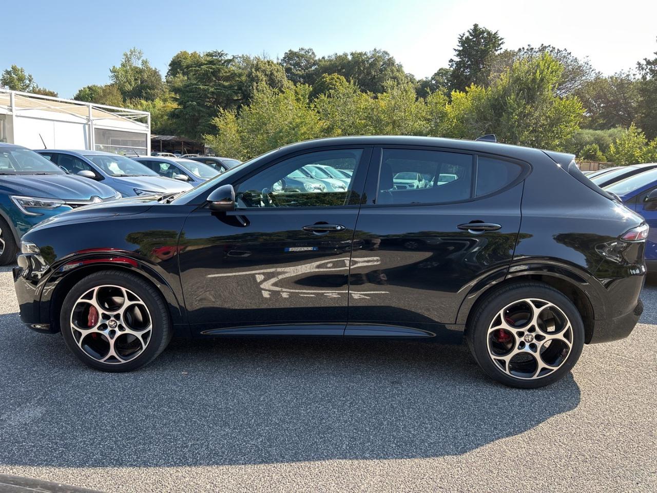 Alfa Romeo Alfa Romeo Tonale usata 19