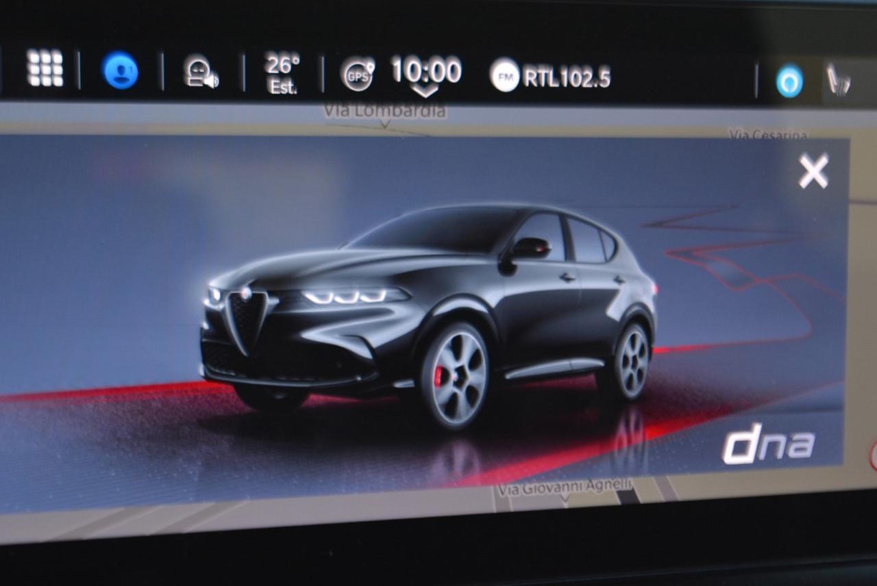 Alfa Romeo Alfa Romeo Tonale usata 10