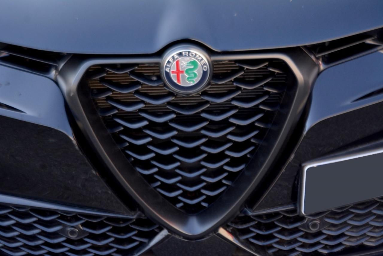 Alfa Romeo Alfa Romeo Tonale usata 13