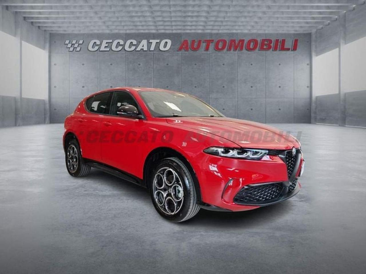 Alfa Romeo Alfa Romeo Tonale usata 7