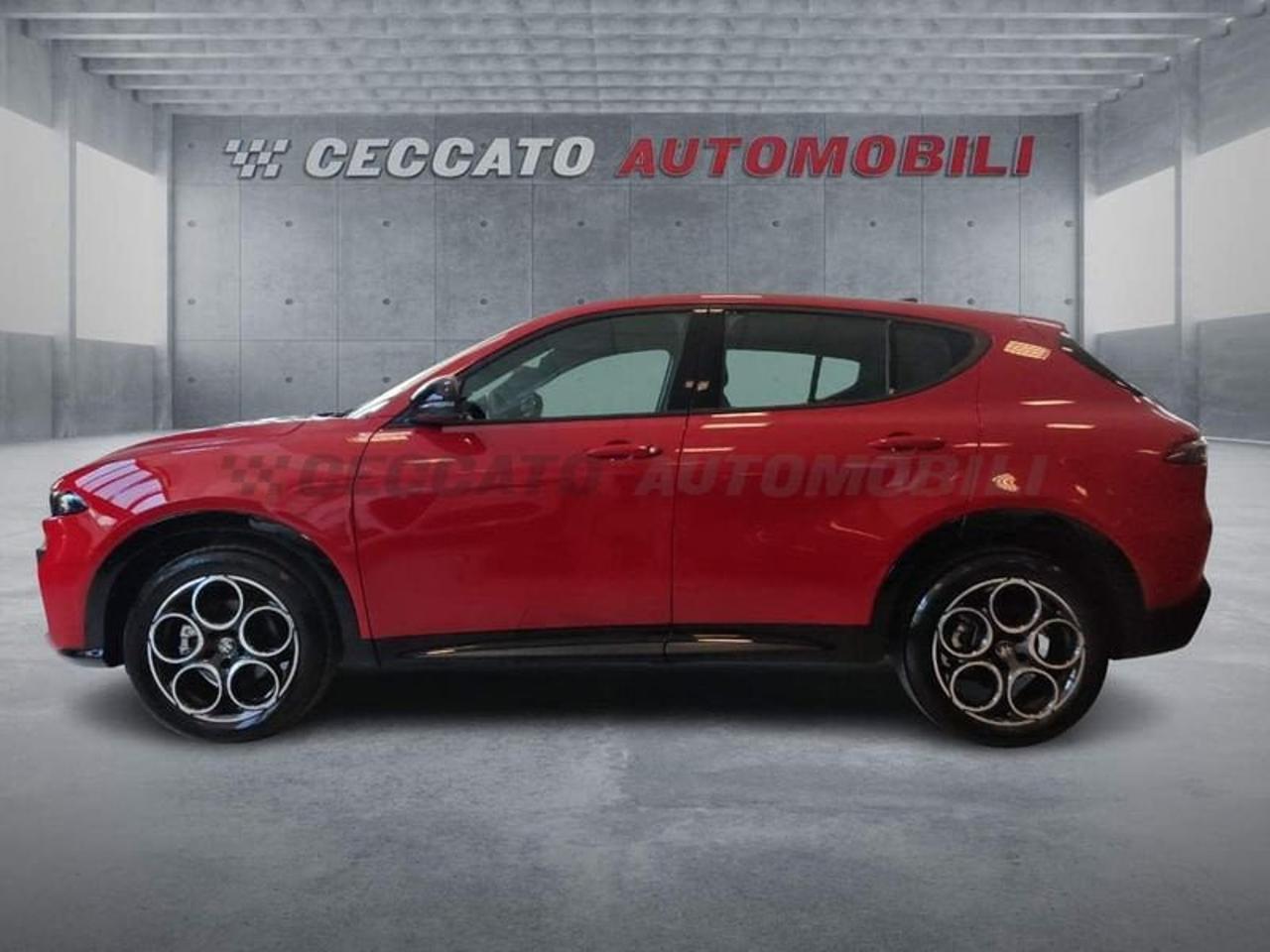 Alfa Romeo Alfa Romeo Tonale usata 11