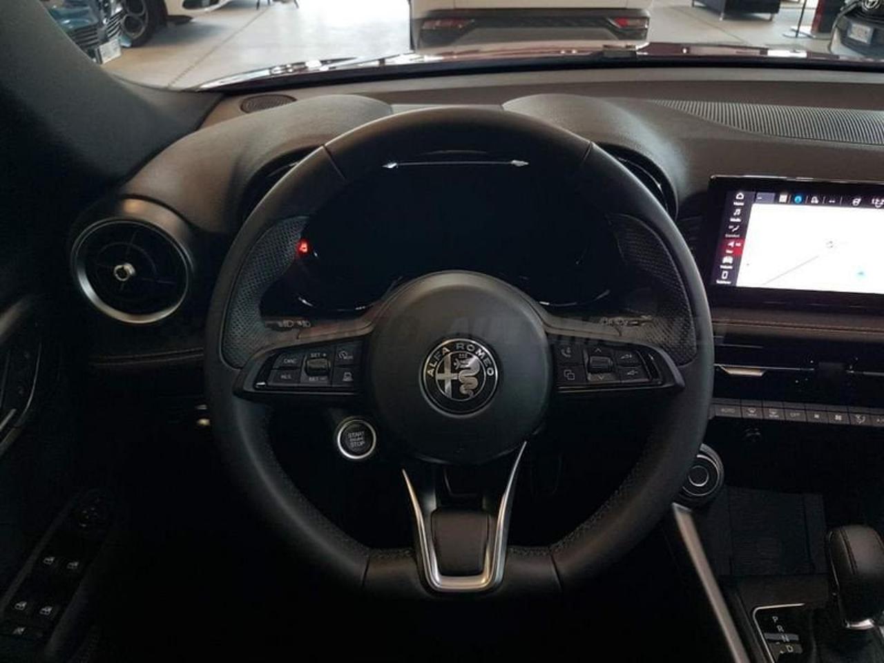 Alfa Romeo Alfa Romeo Tonale usata 13