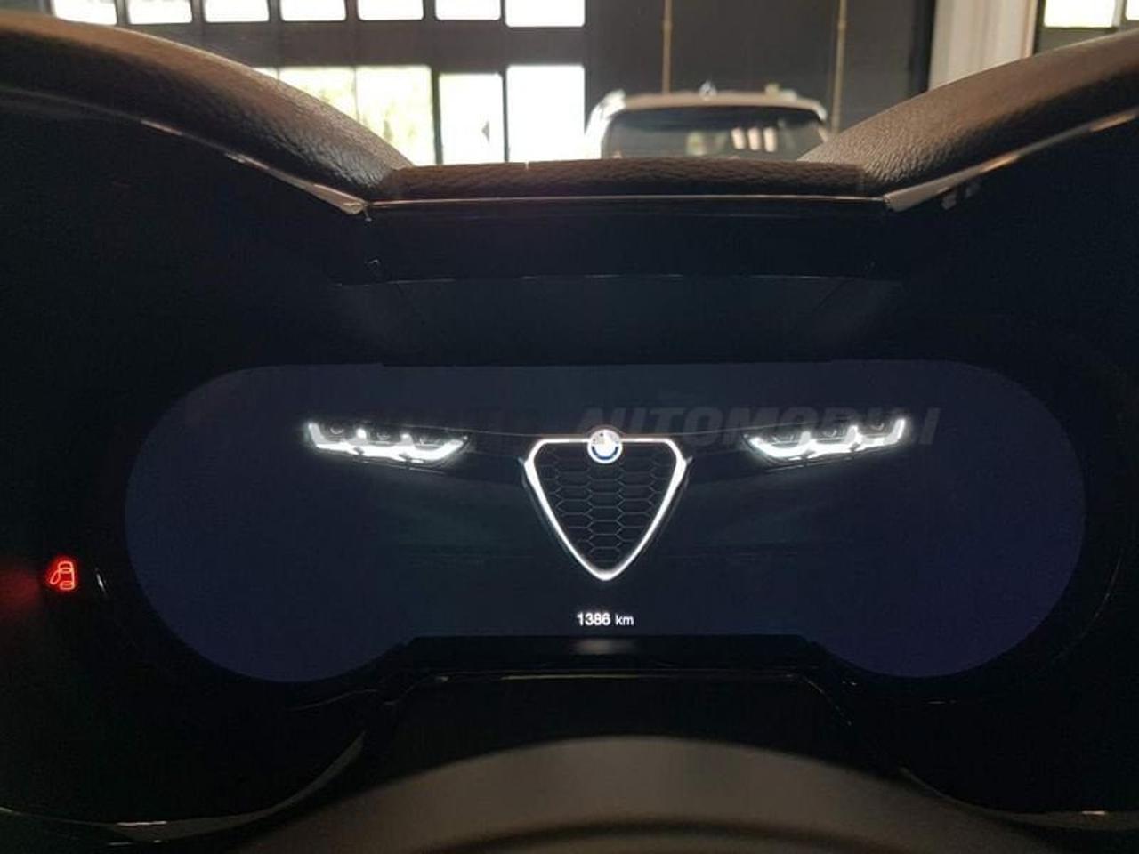 Alfa Romeo Alfa Romeo Tonale usata 14