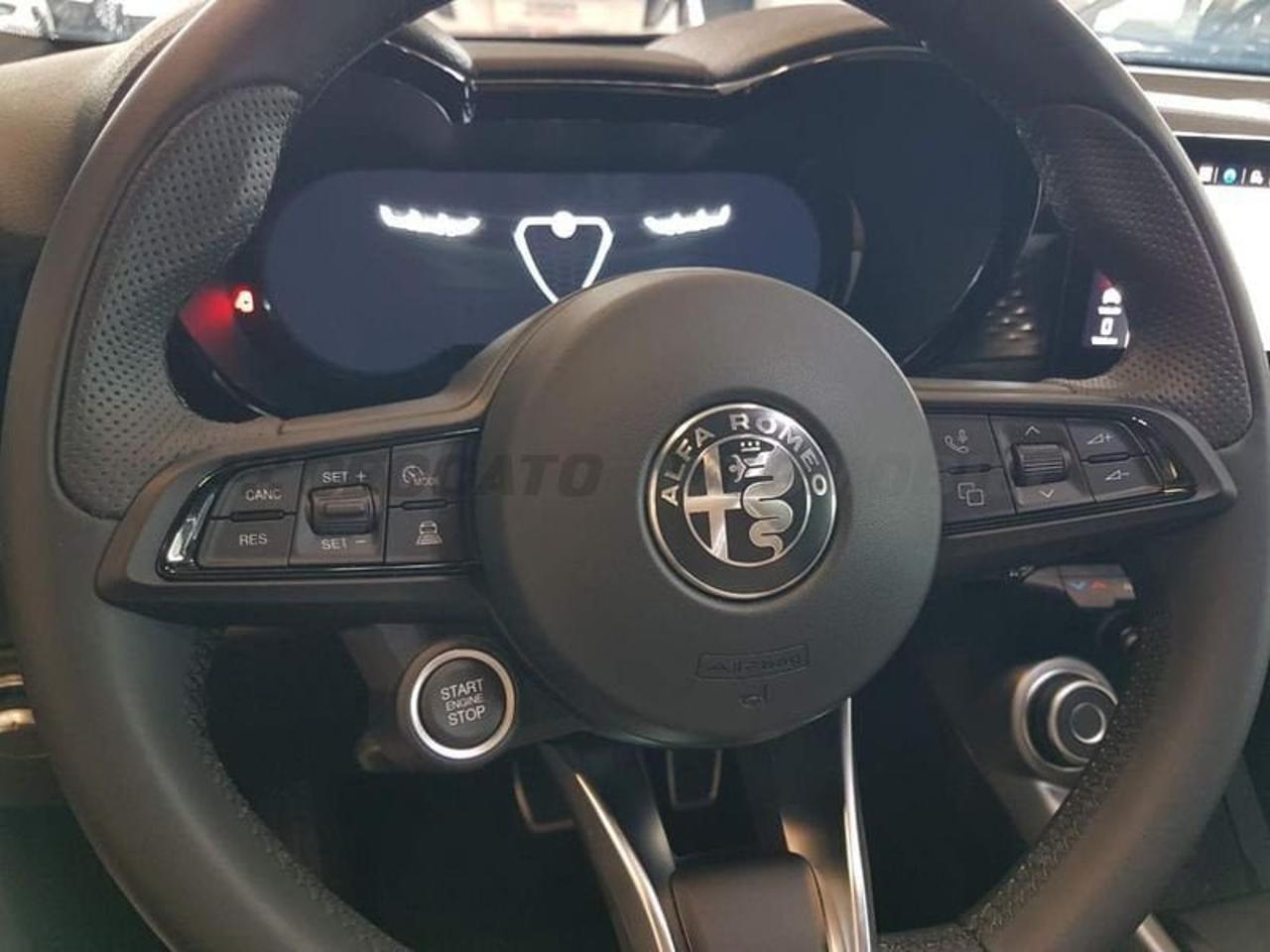 Alfa Romeo Alfa Romeo Tonale usata 15