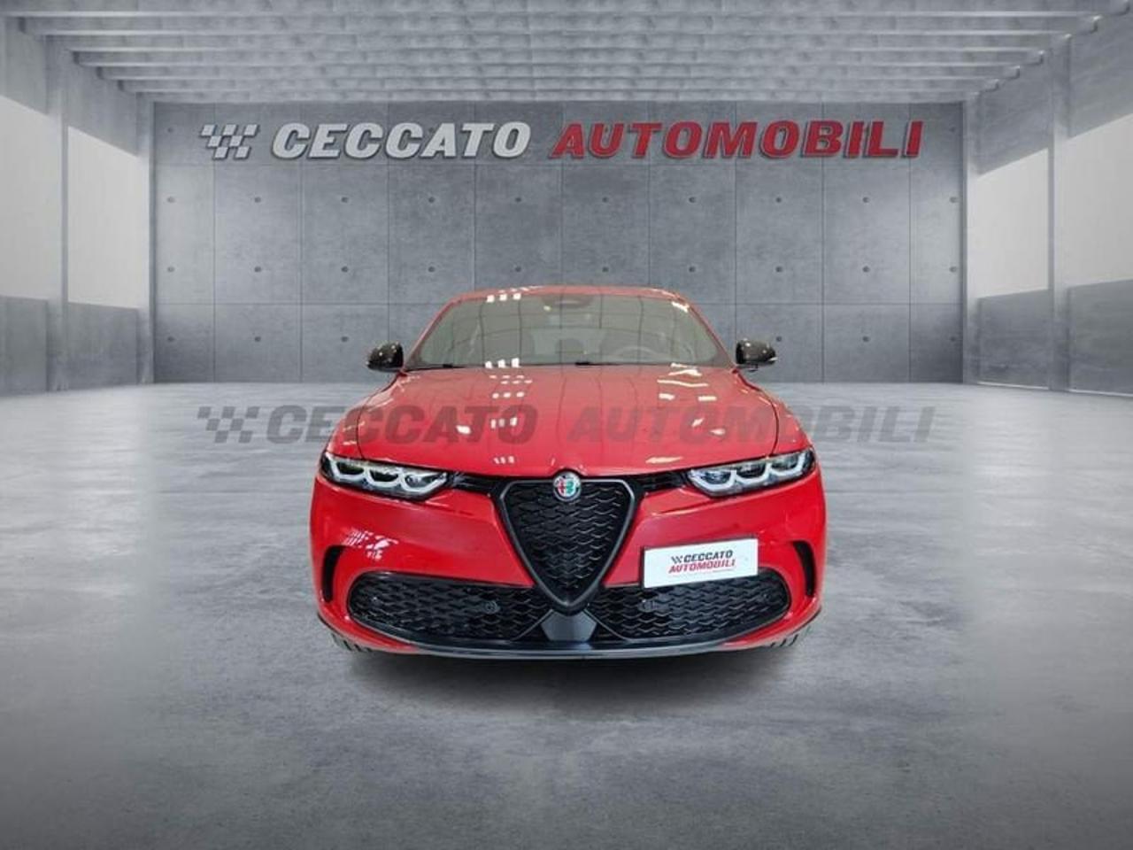Alfa Romeo Alfa Romeo Tonale usata 19