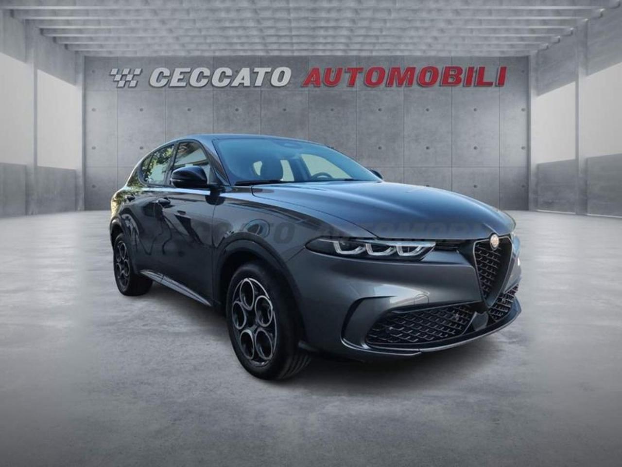 Alfa Romeo Alfa Romeo Tonale usata 7