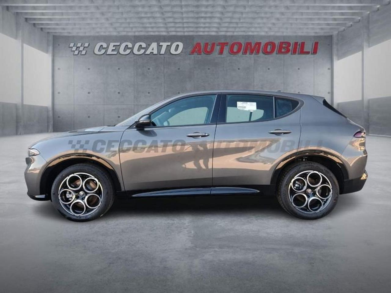 Alfa Romeo Alfa Romeo Tonale usata 11