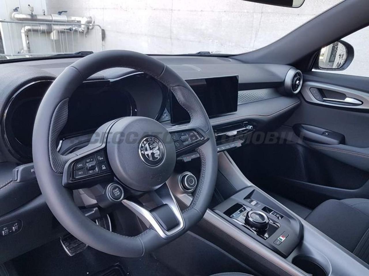 Alfa Romeo Alfa Romeo Tonale usata 12