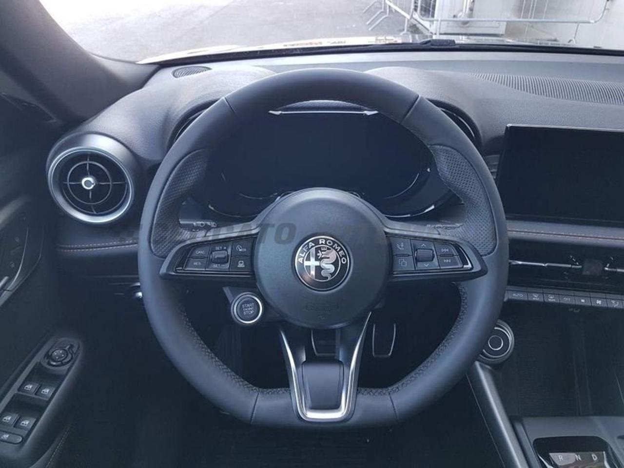 Alfa Romeo Alfa Romeo Tonale usata 13