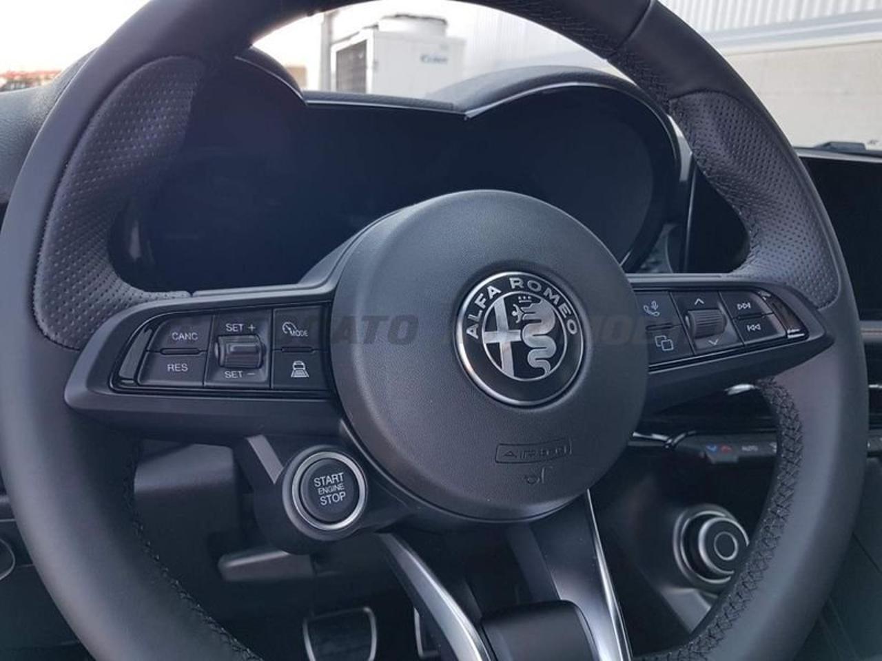 Alfa Romeo Alfa Romeo Tonale usata 14