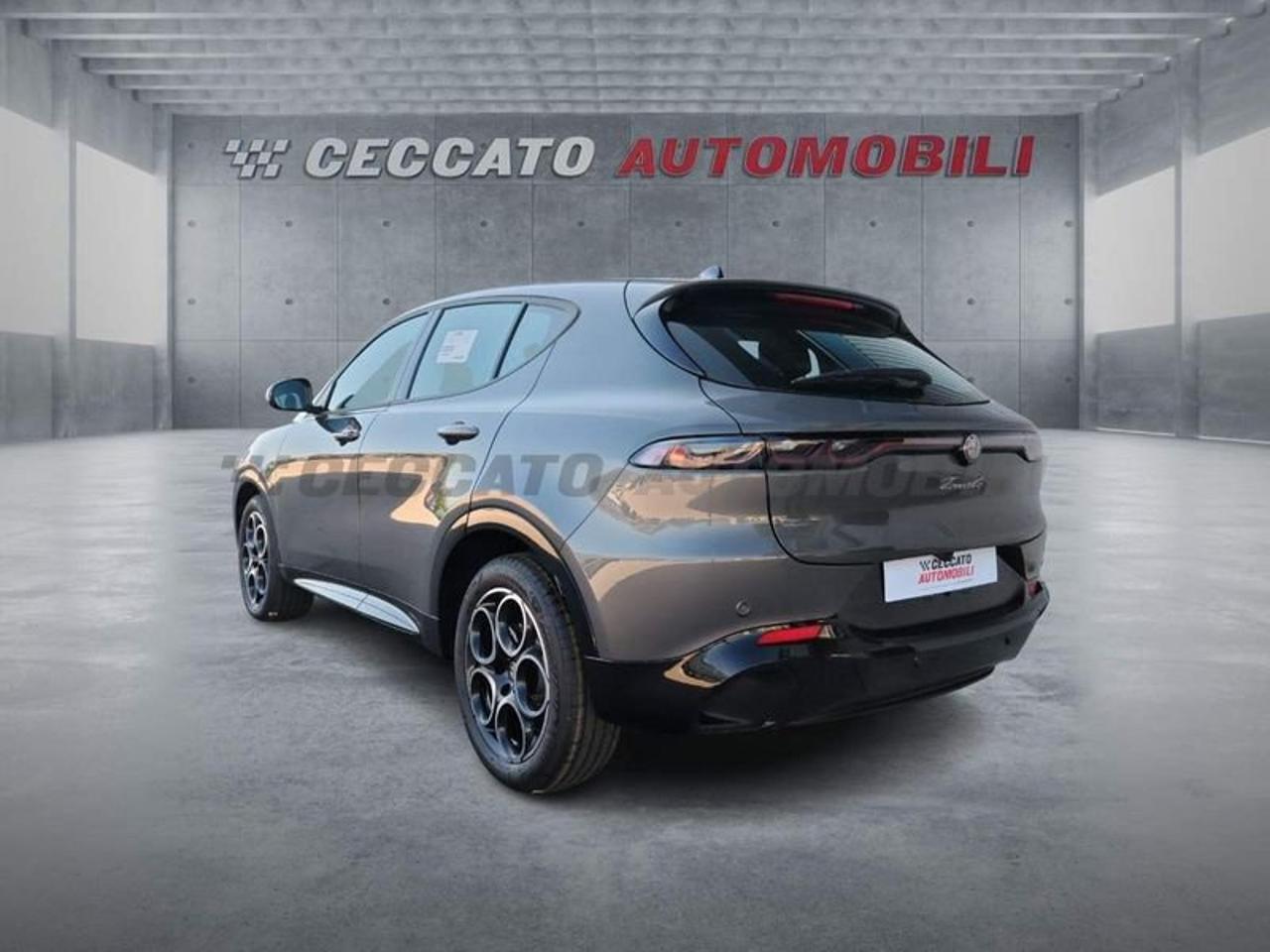 Alfa Romeo Alfa Romeo Tonale usata 17