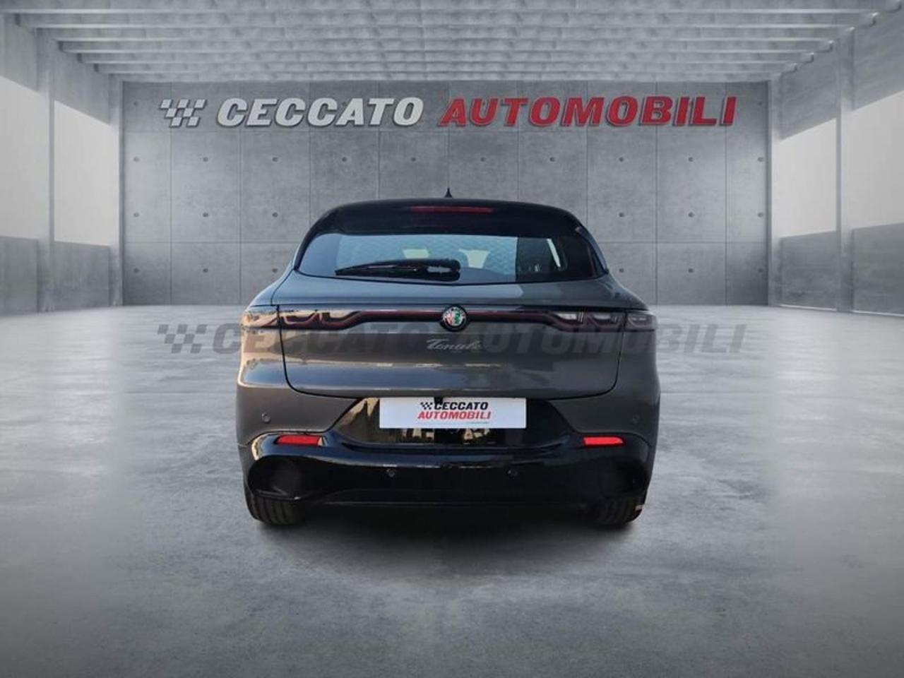 Alfa Romeo Alfa Romeo Tonale usata 19