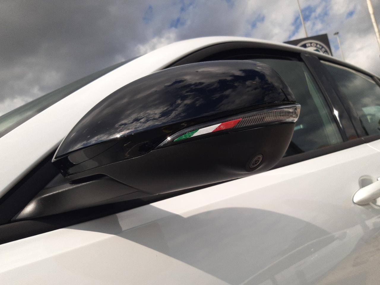 Alfa Romeo Alfa Romeo Tonale usata 5