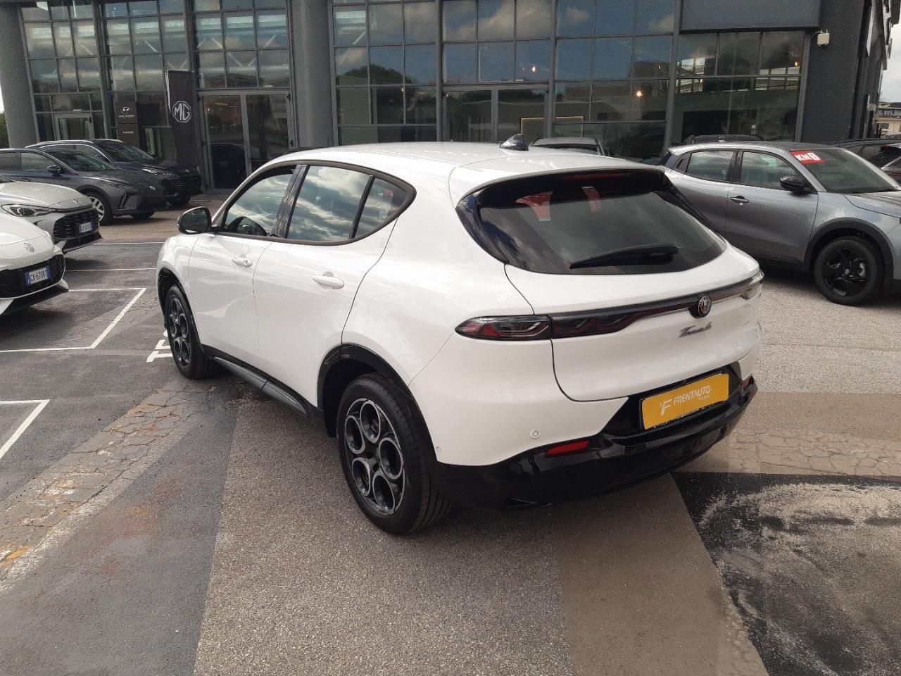 Alfa Romeo Alfa Romeo Tonale usata 21