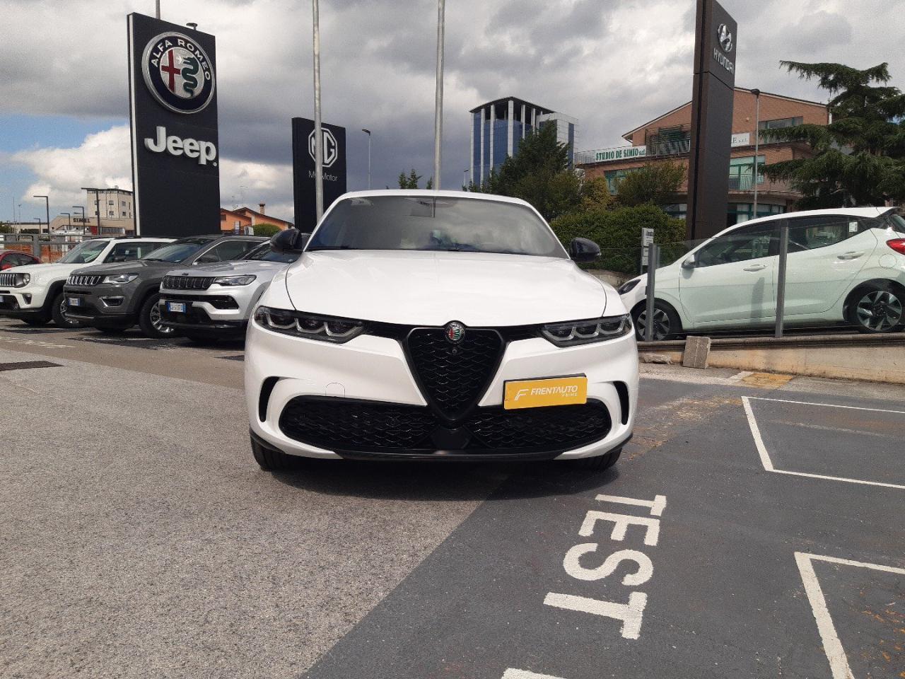 Alfa Romeo Alfa Romeo Tonale usata 23