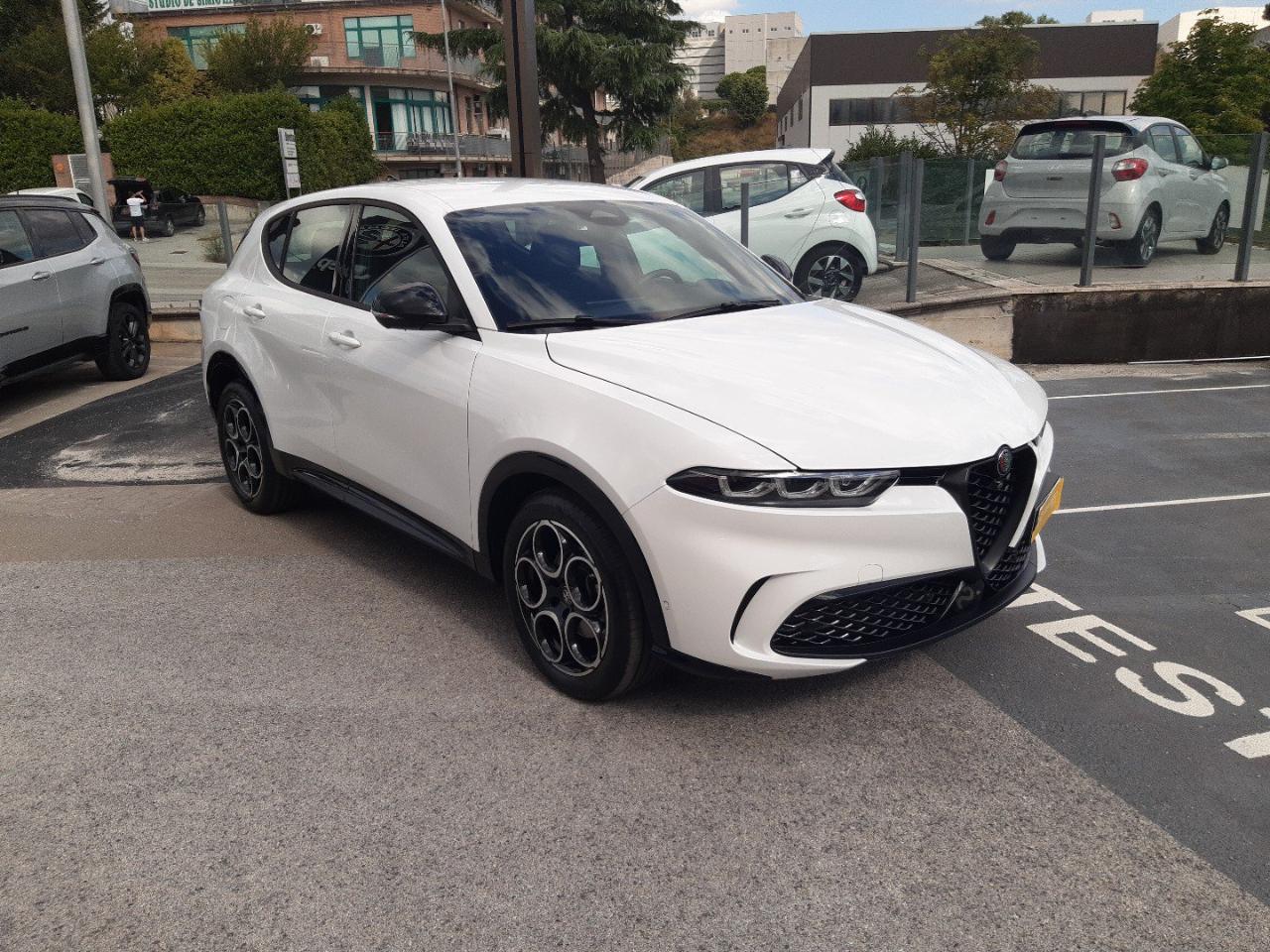 Alfa Romeo Alfa Romeo Tonale usata 26