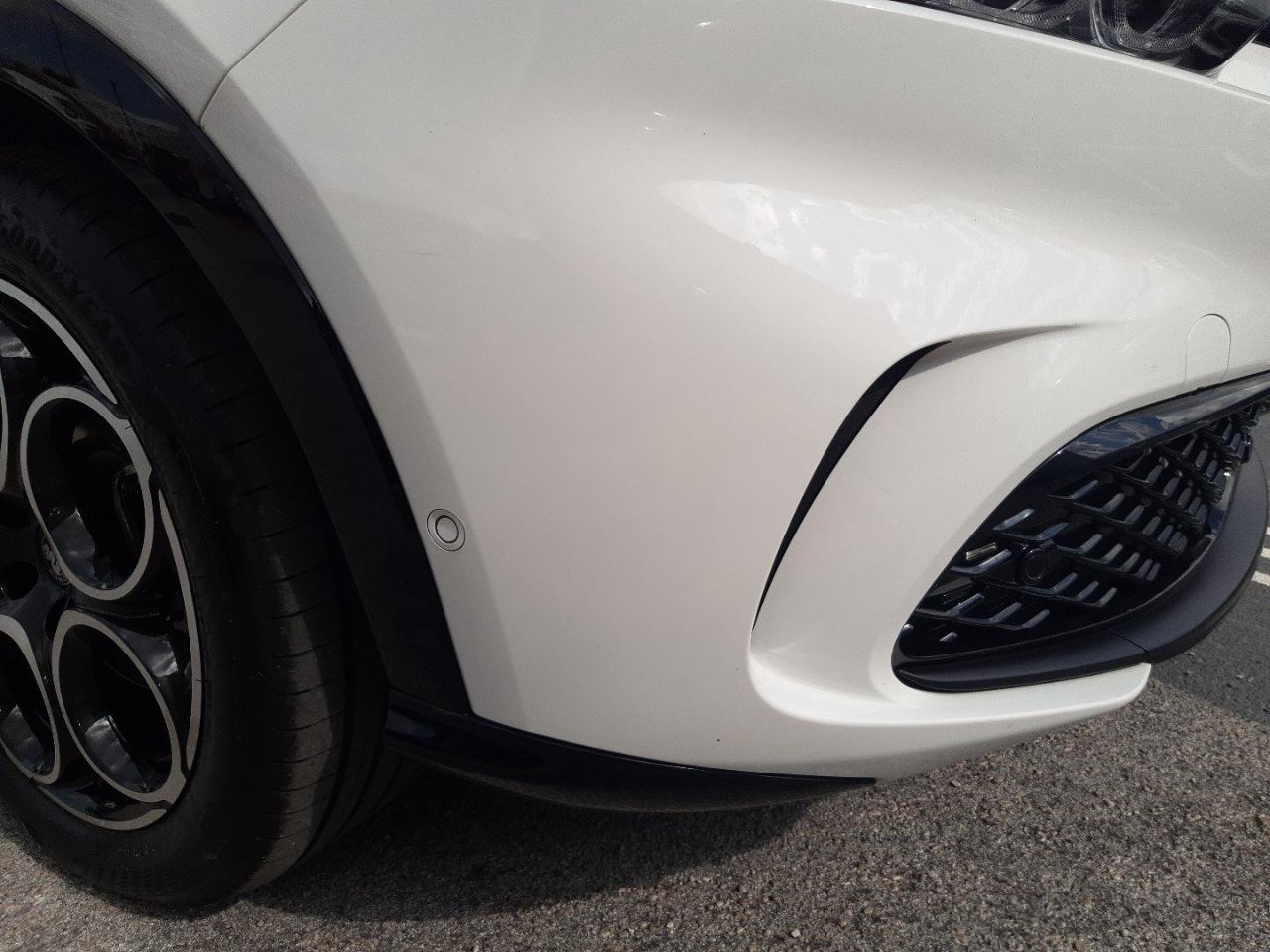 Alfa Romeo Alfa Romeo Tonale usata 27
