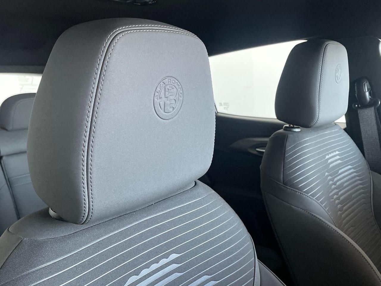 Alfa Romeo Alfa Romeo Tonale usata 13