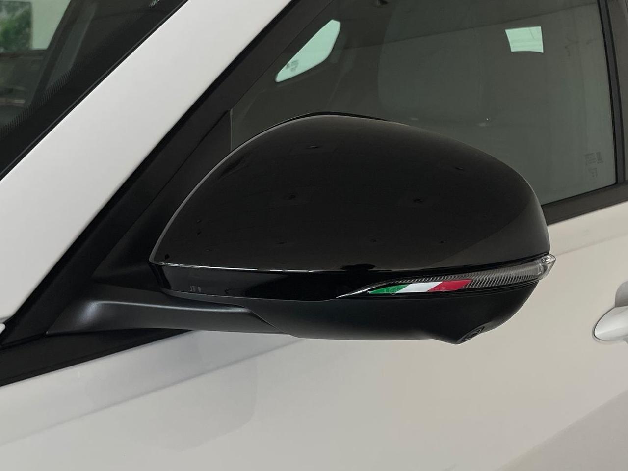 Alfa Romeo Alfa Romeo Tonale usata 14